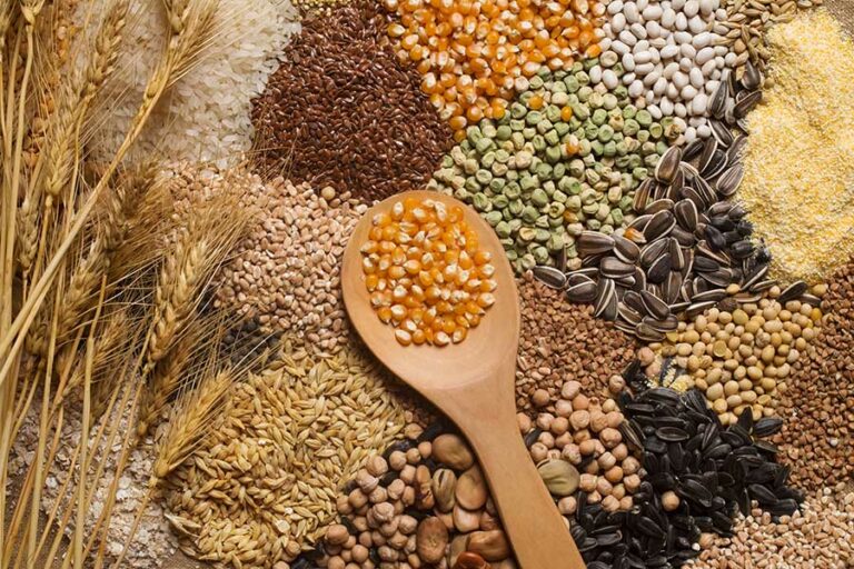 types of grains