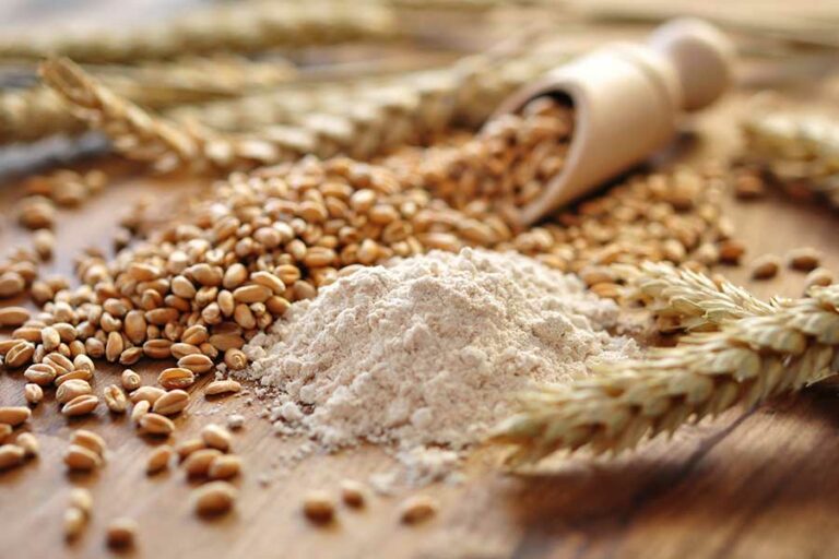 Barley vs oats