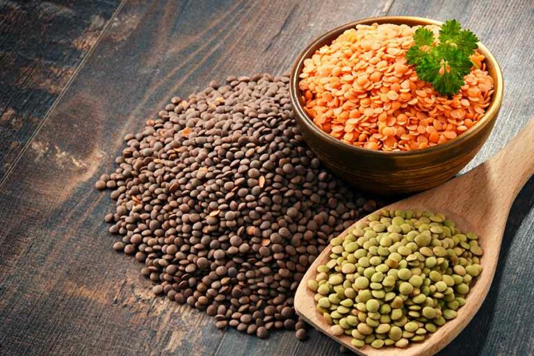 red vs. green lentils