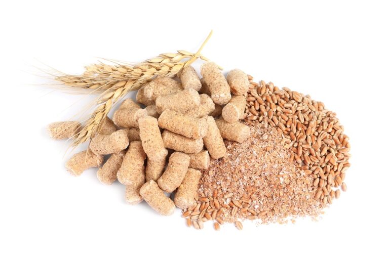 types of wheat
