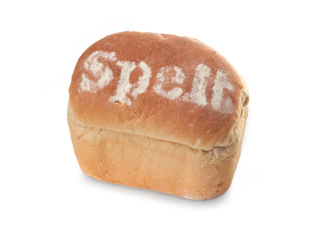 Spelt Bread