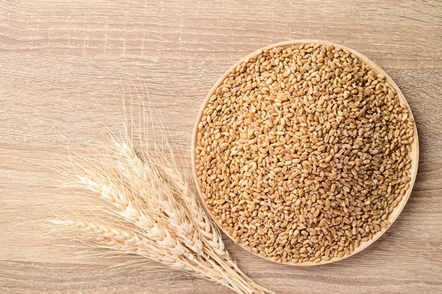 Whole wheat grain